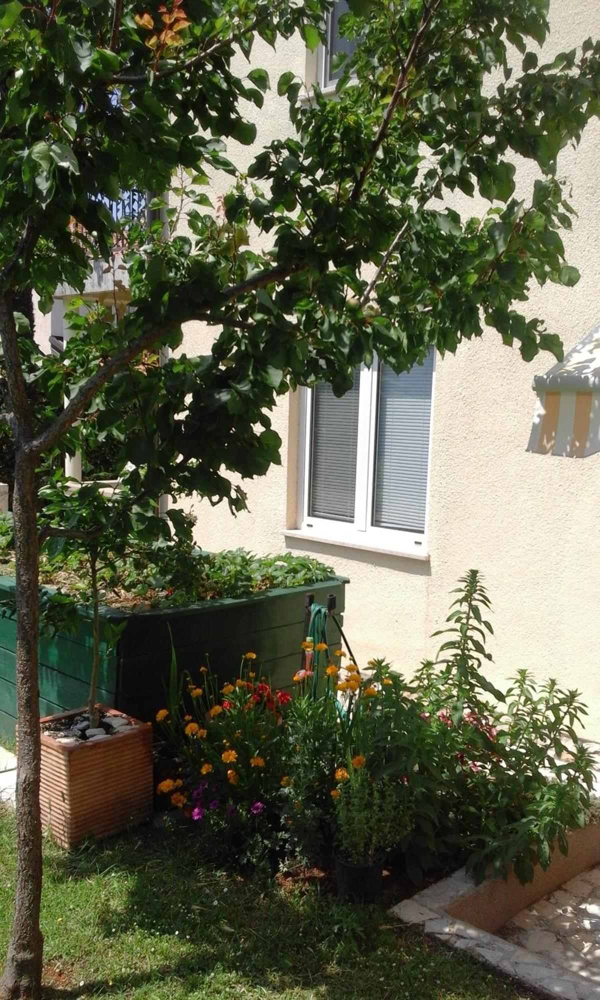 Apartment Laura Poreč Zewnętrze zdjęcie